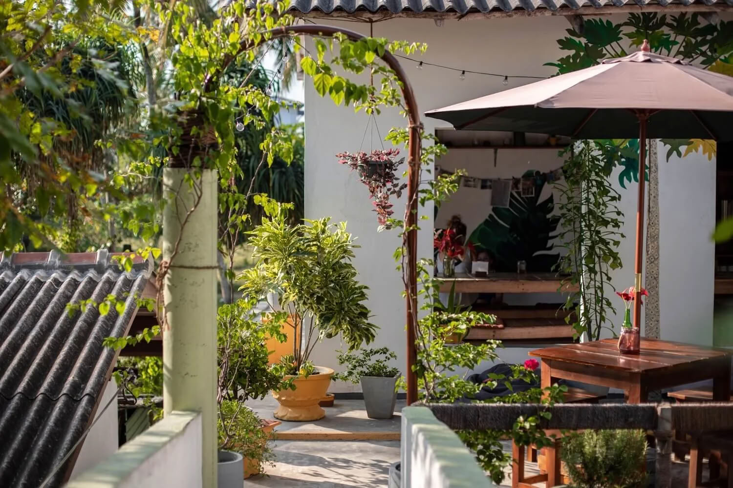 Dans-, surf- och yogaretreat på Sri Lanka