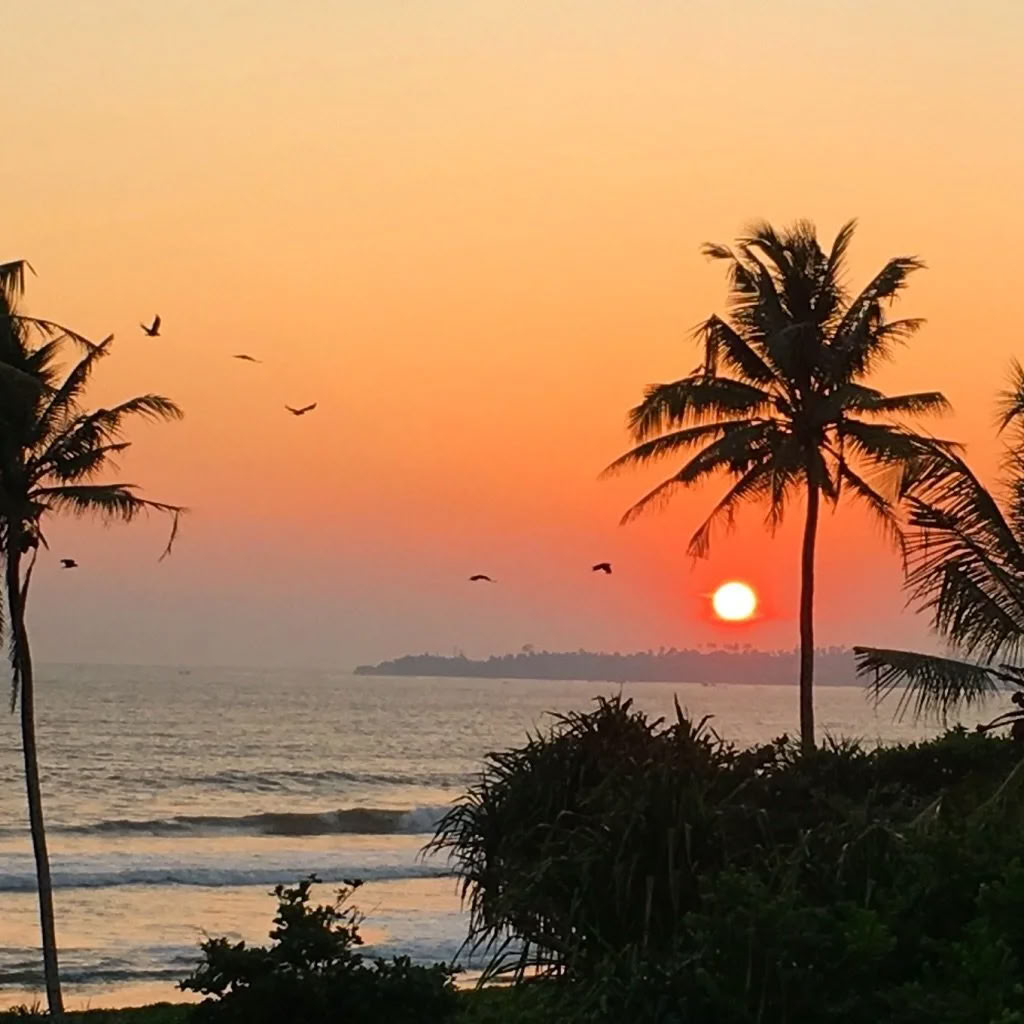 Dans-, surf- och yogaretreat på Sri Lanka