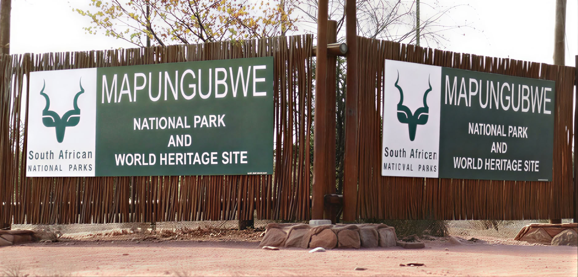 Guidad bilresa i Mapungubwe nationalpark