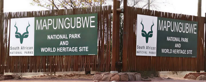 Guidad bilresa i Mapungubwe nationalpark