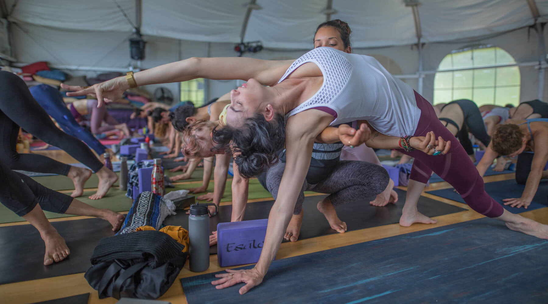 Återvildningen av Eros: Att avtämja den erotiska kroppen och återta erotisk suveränitet