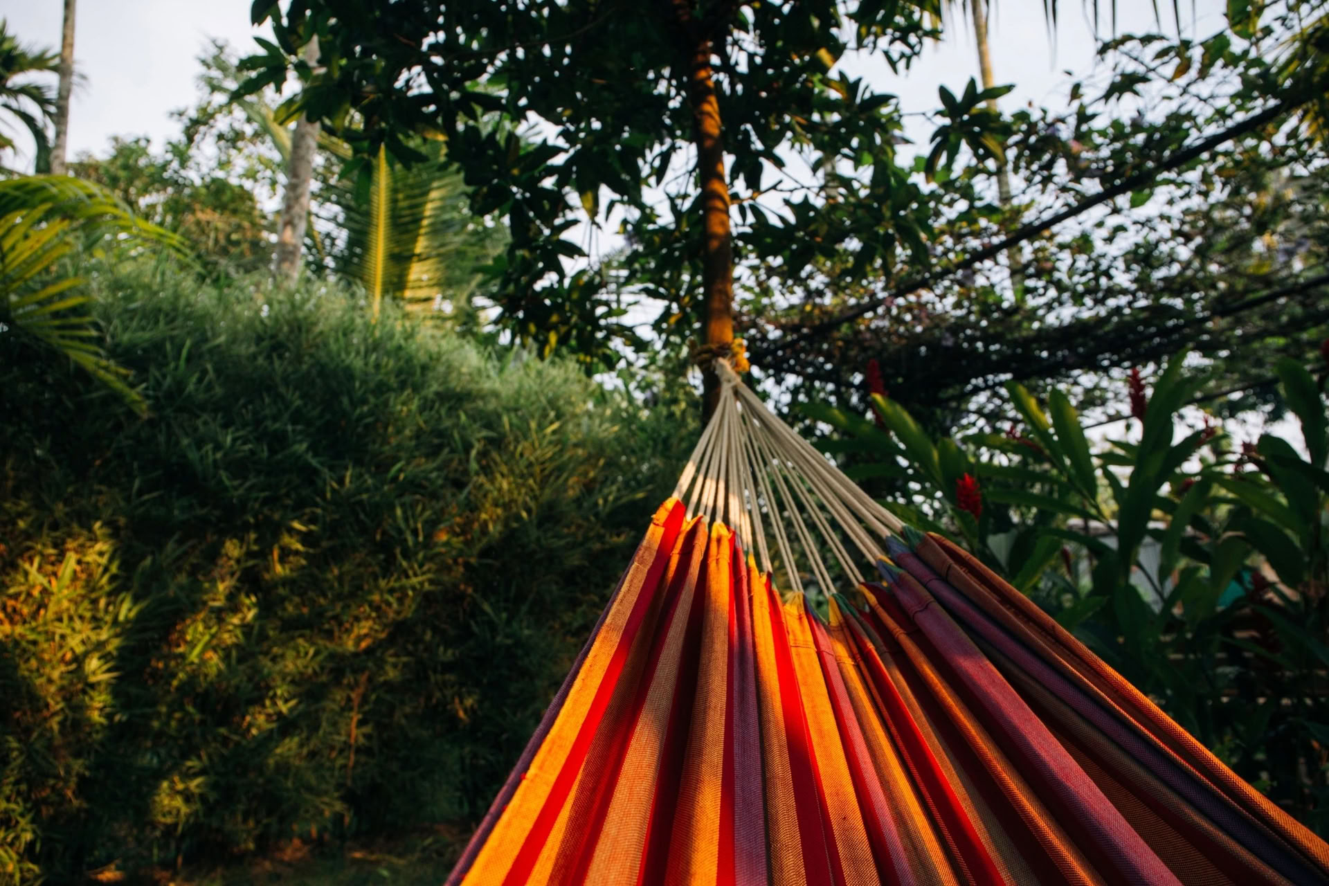 10 dagars retreat