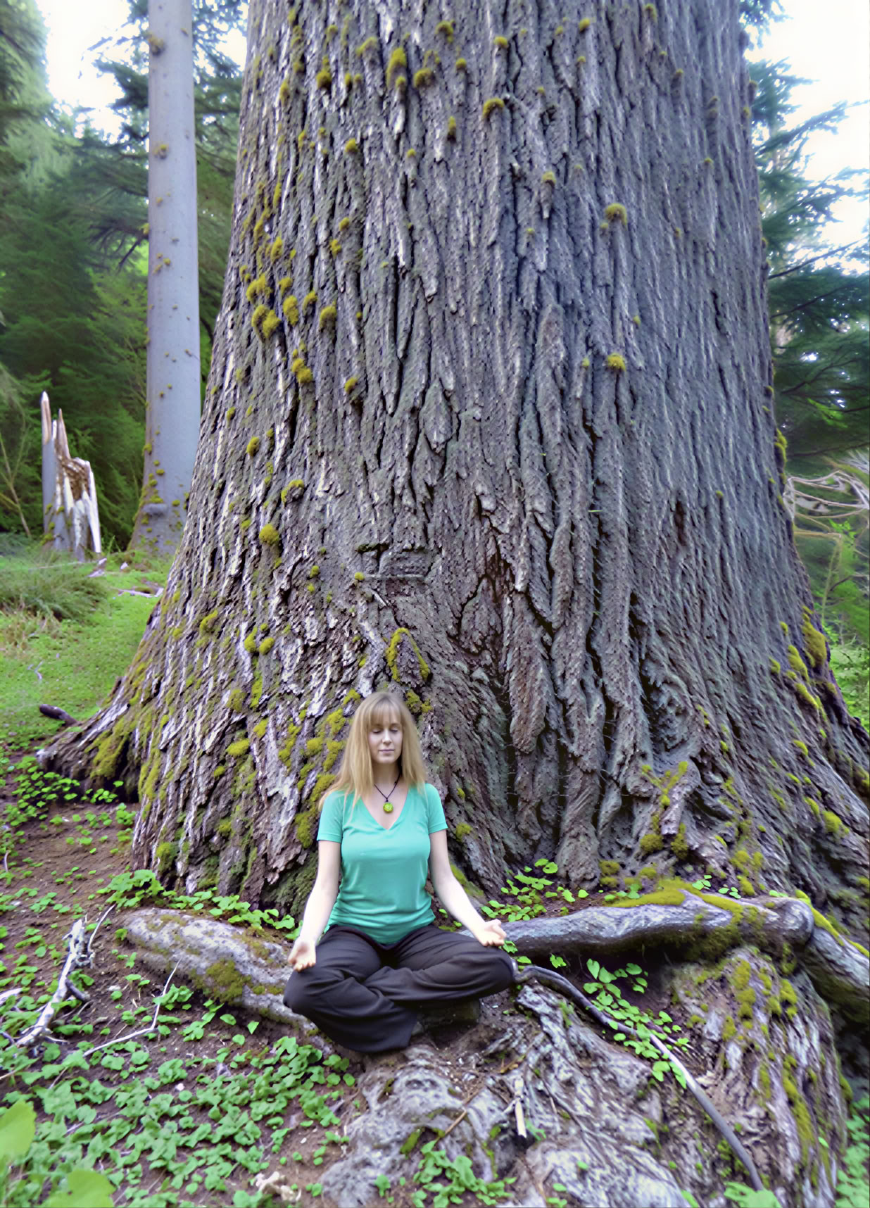 Meditationsvandringsretreat vid vattenfall