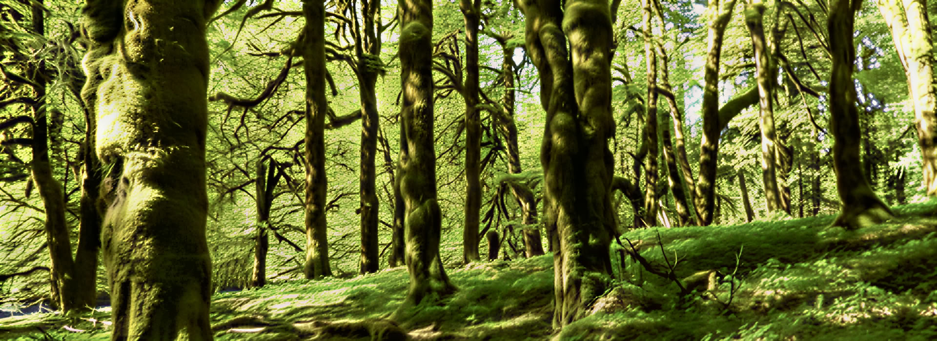 Meditationsvandringsretreat vid vattenfall