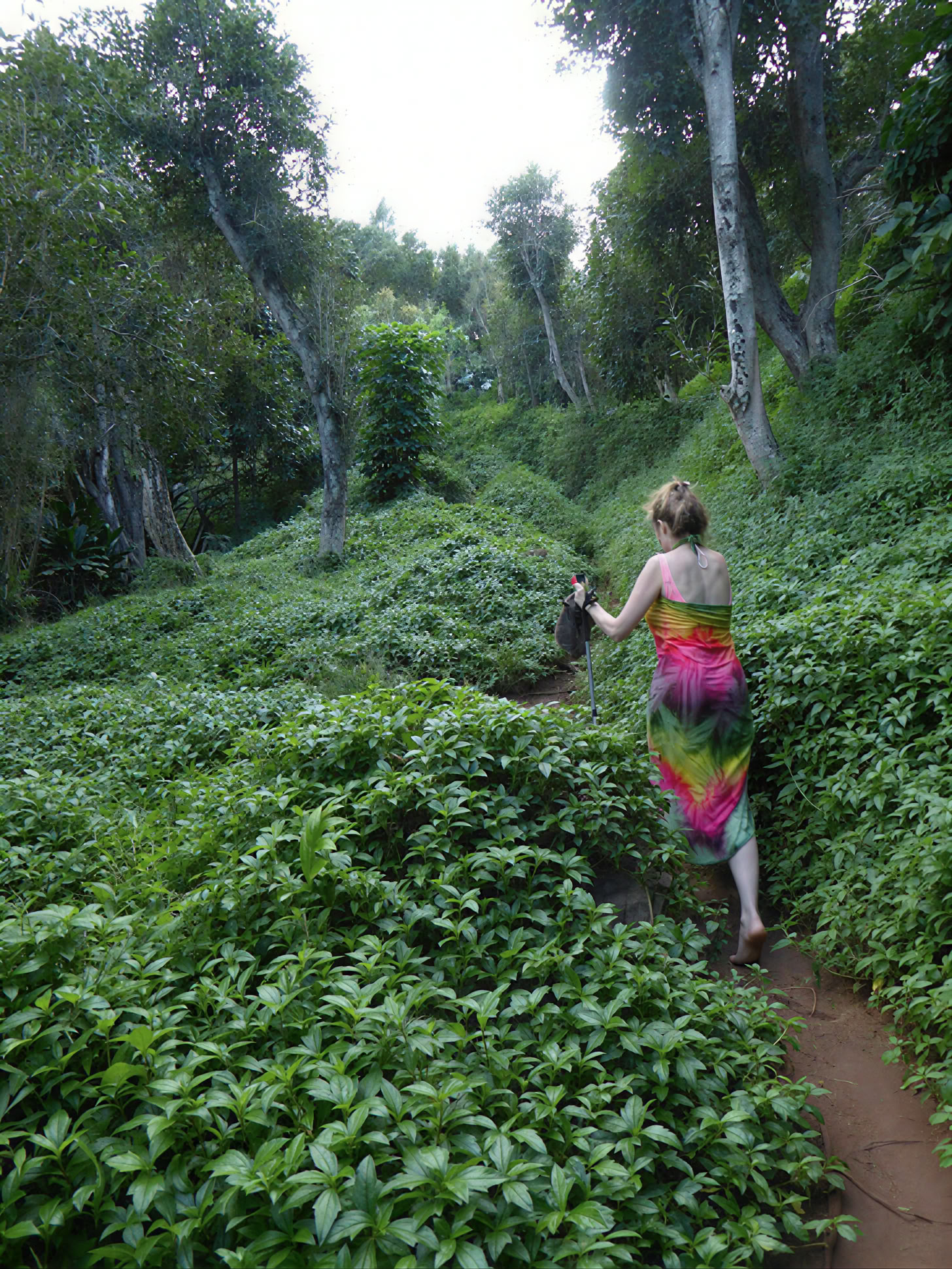 Yoga-retreat på Kauai, Hawaii