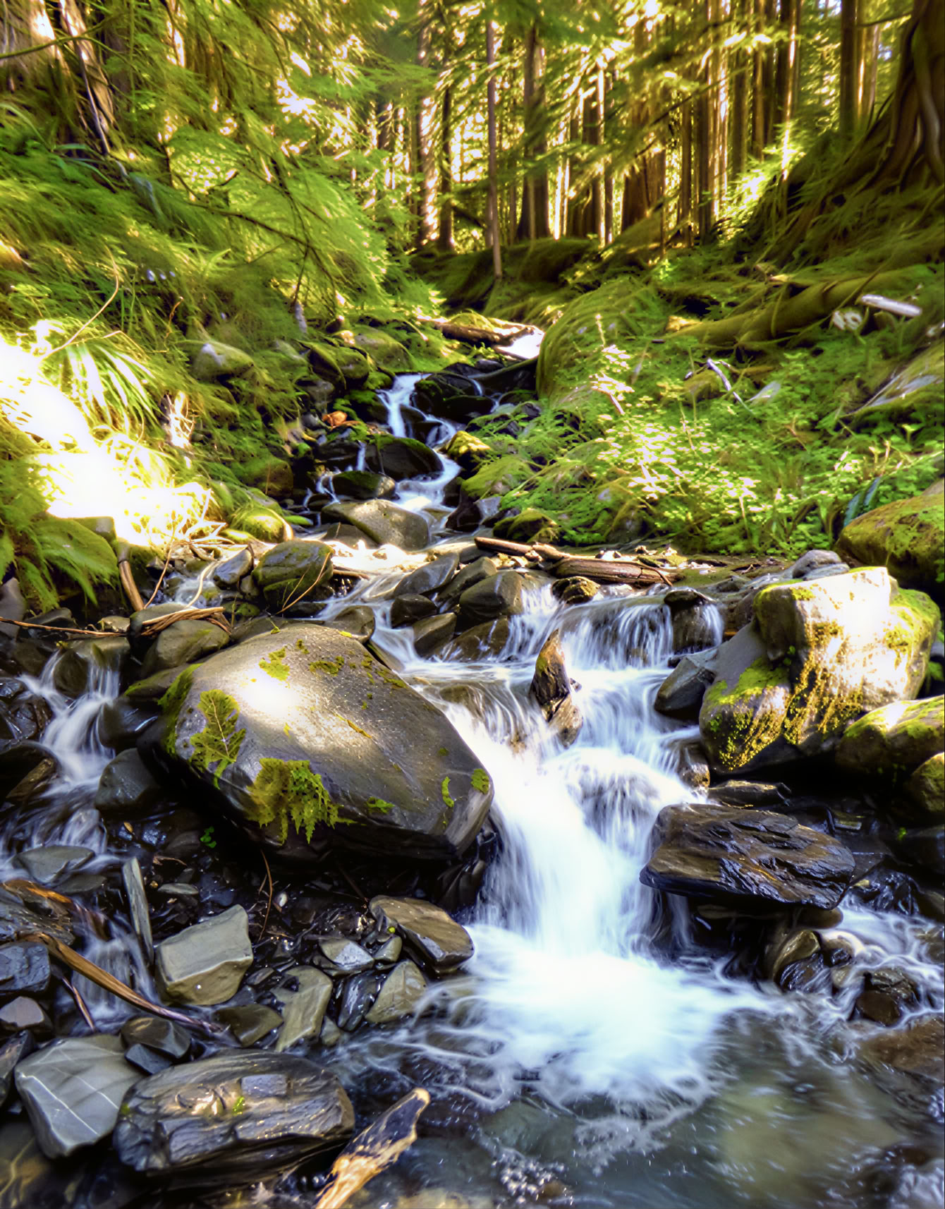 Yoga-, vandrings- och pickleballretreat vid Cascades
