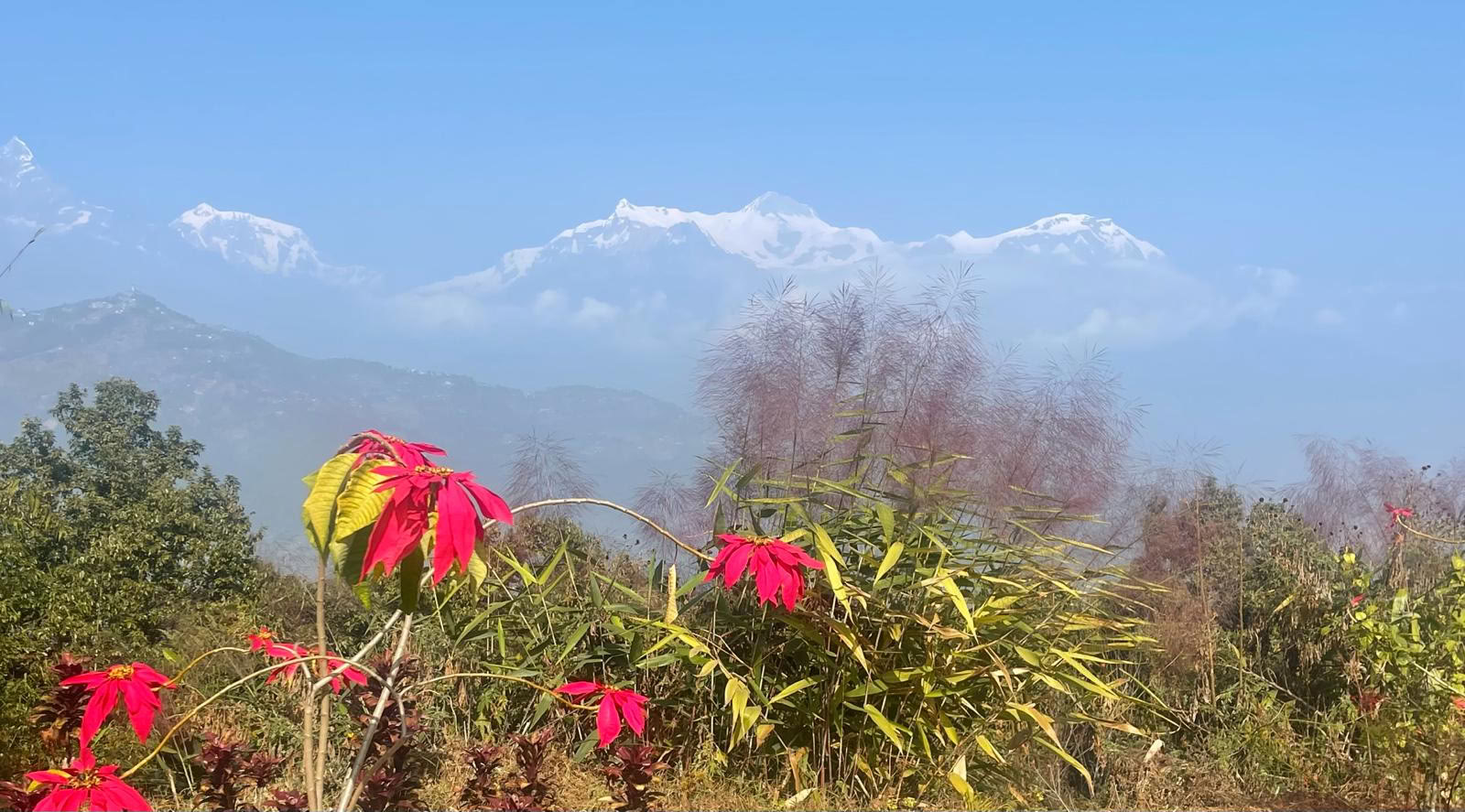 Himalayisk healing- och äventyrsretreat