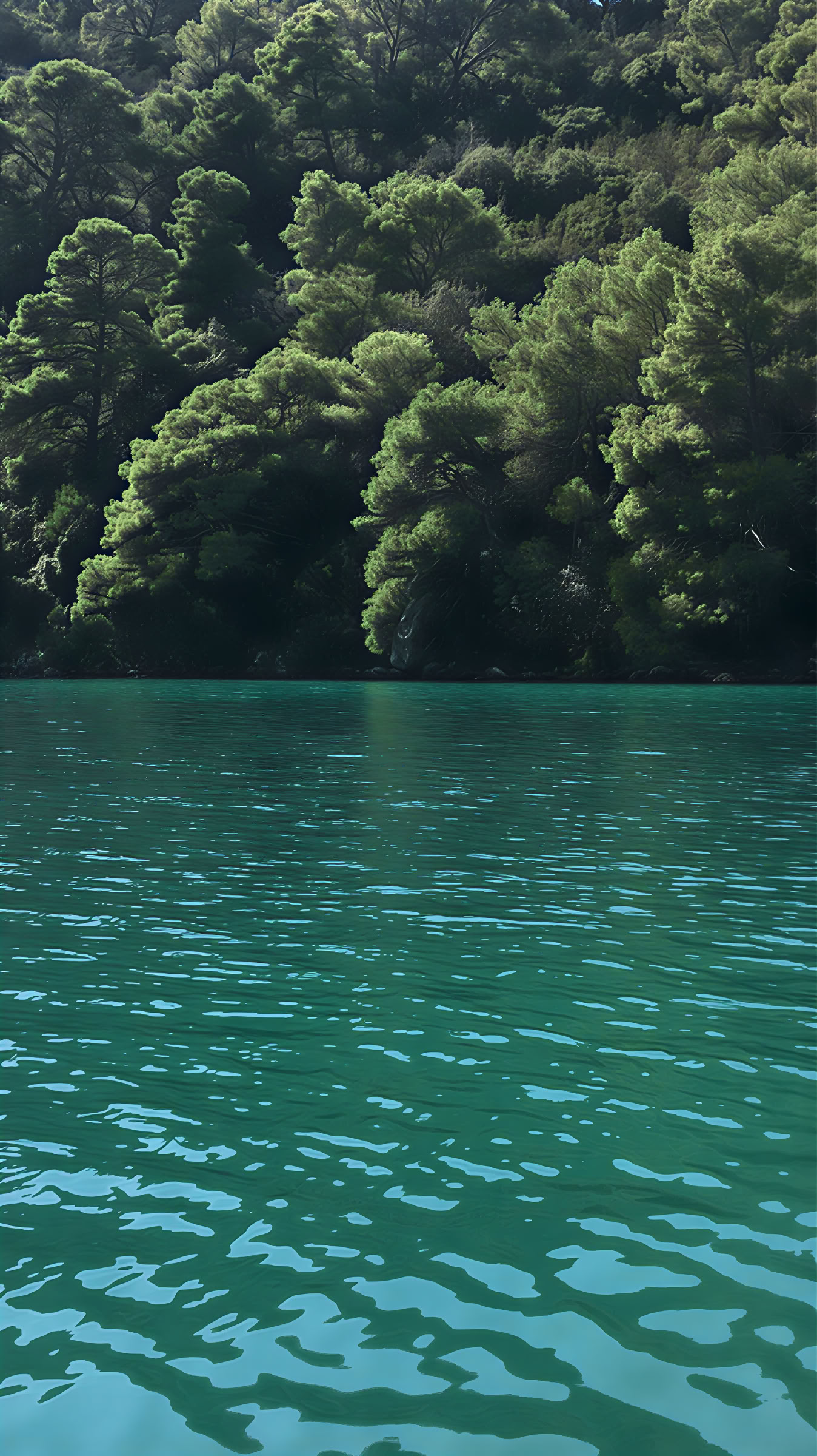 Mljet-retreatupplevelse