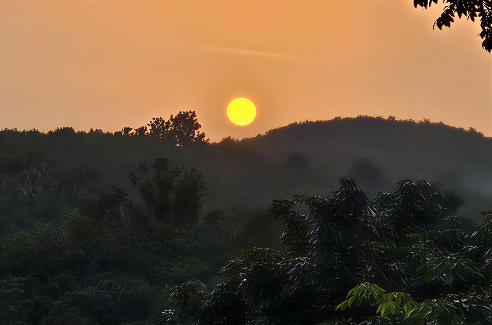 Välmåenderetreat i Kerala