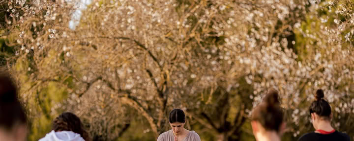 Vinyasa yoga på IBIZALOE (San Antonio)