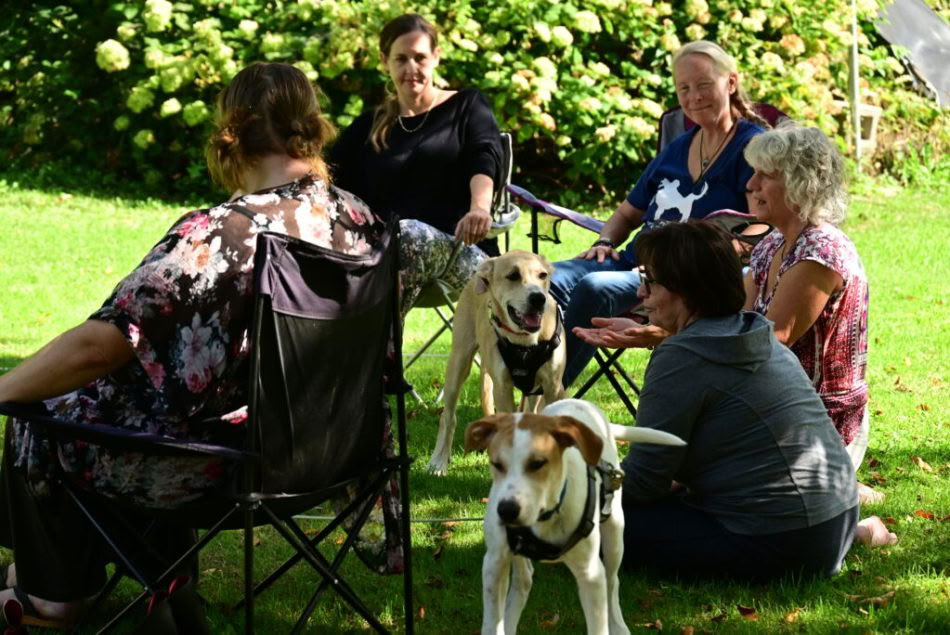 ICRT Animal Reiki I & II
