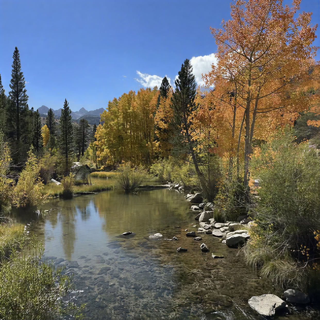 Yogaresa till Bishop Creek