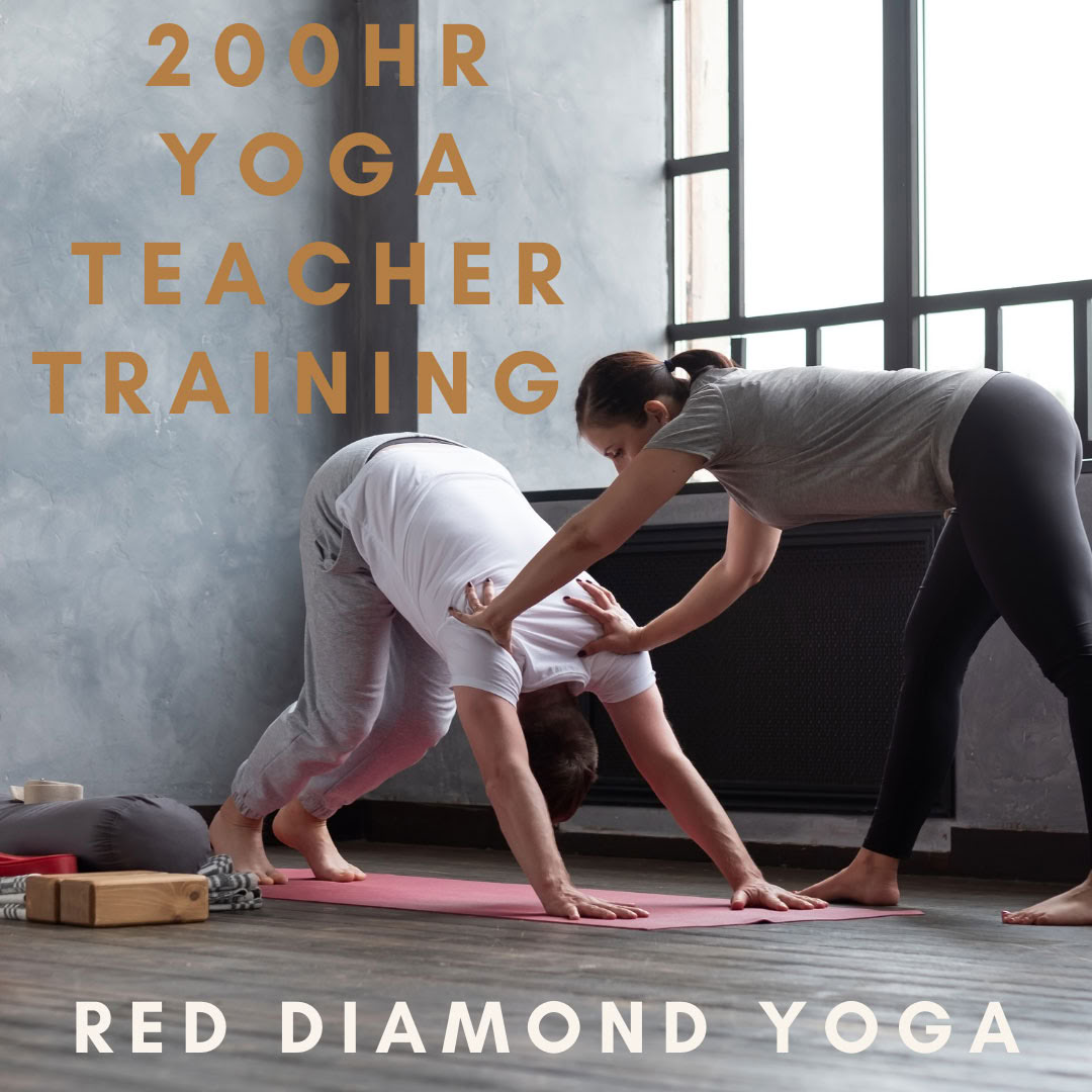 200-timmars YTT Vinyasa-lärarutbildning, certifierad av Yoga Alliance