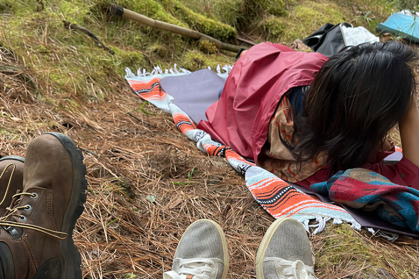 Skogsbadupplevelse (Shinrin-Yoku): En guidad resa mot ro och välbefinnande
