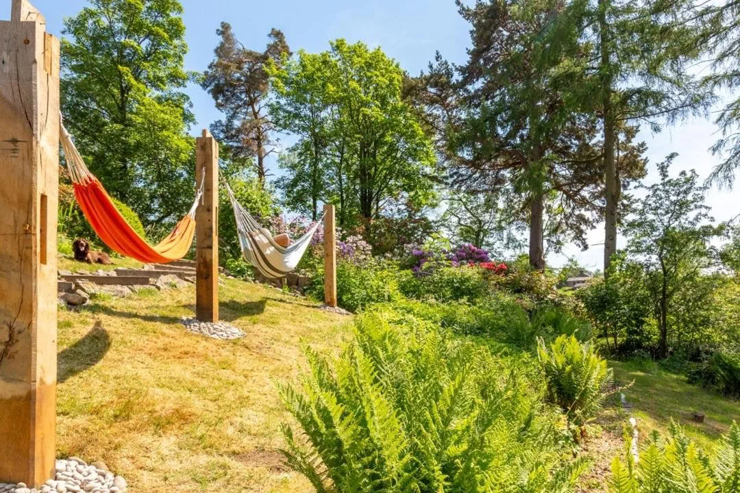 Nybörjar-SUP, yoga, vildsimning och bastu