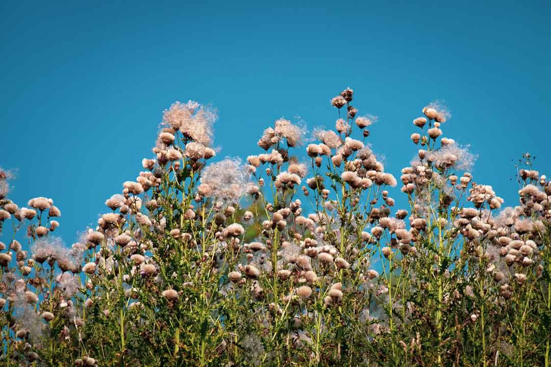 3-dagars yogaretreat i Skottland – 2–5 oktober