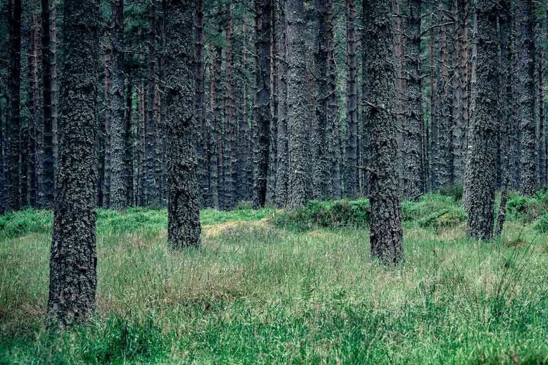 3-dagars yogaretreat i Skottland – 2–5 oktober