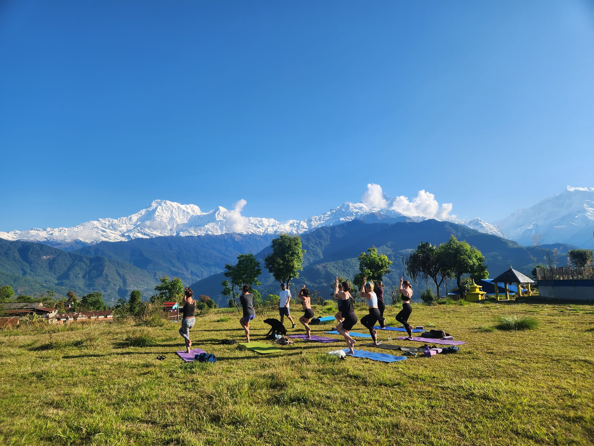 Himalayautsikt YTTC (5 oktober 2026)