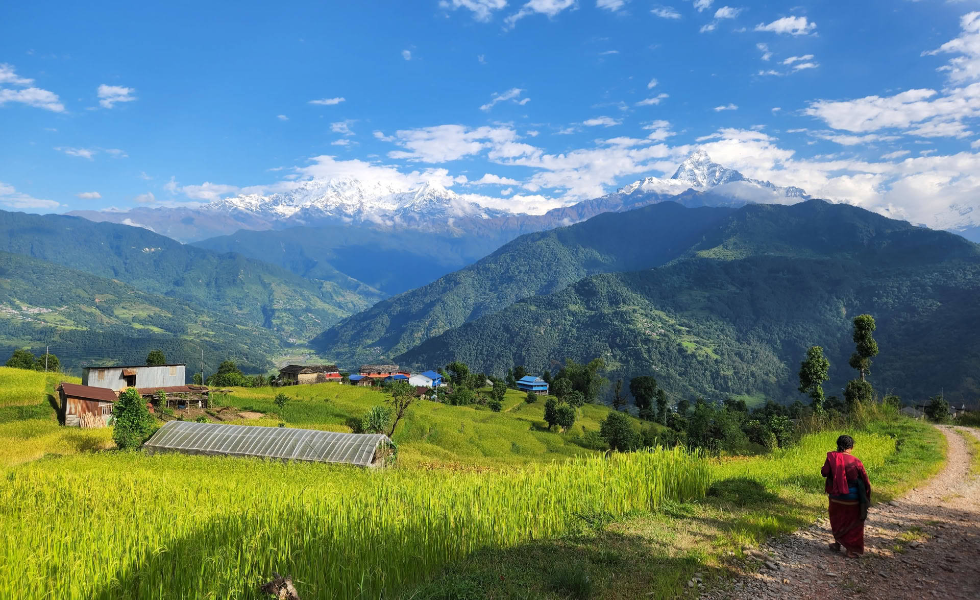 Himalayavy YTTC