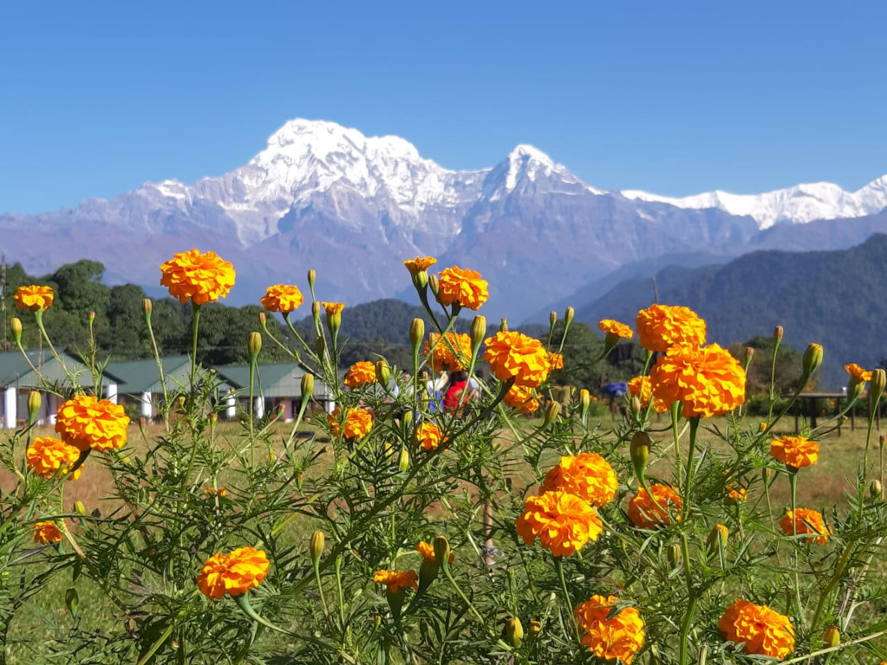 6 dagar/5 nätter: Yoga-retreat i Astam