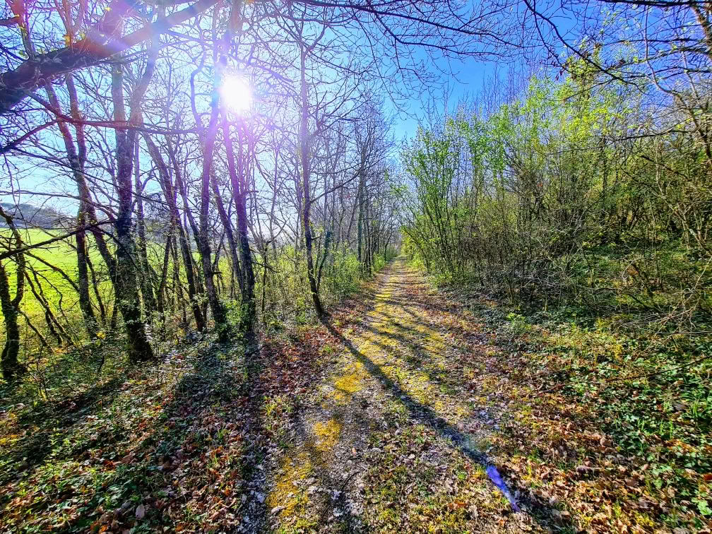 Detox, yoga och välmående