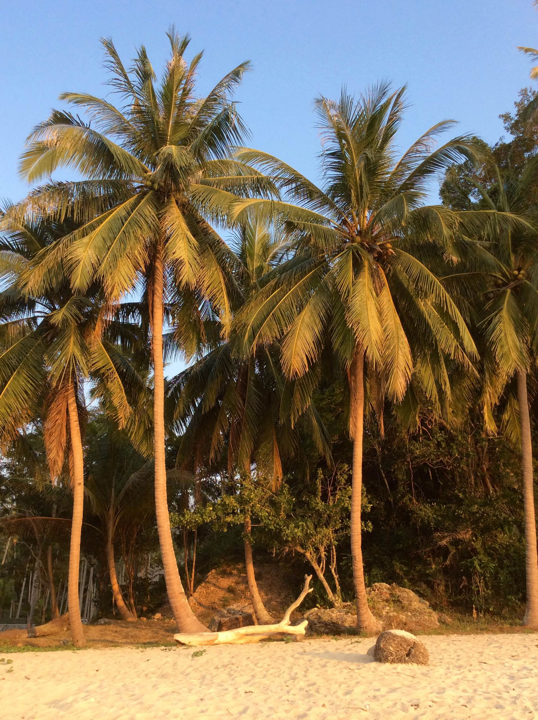 Chakrabalanserande retreat