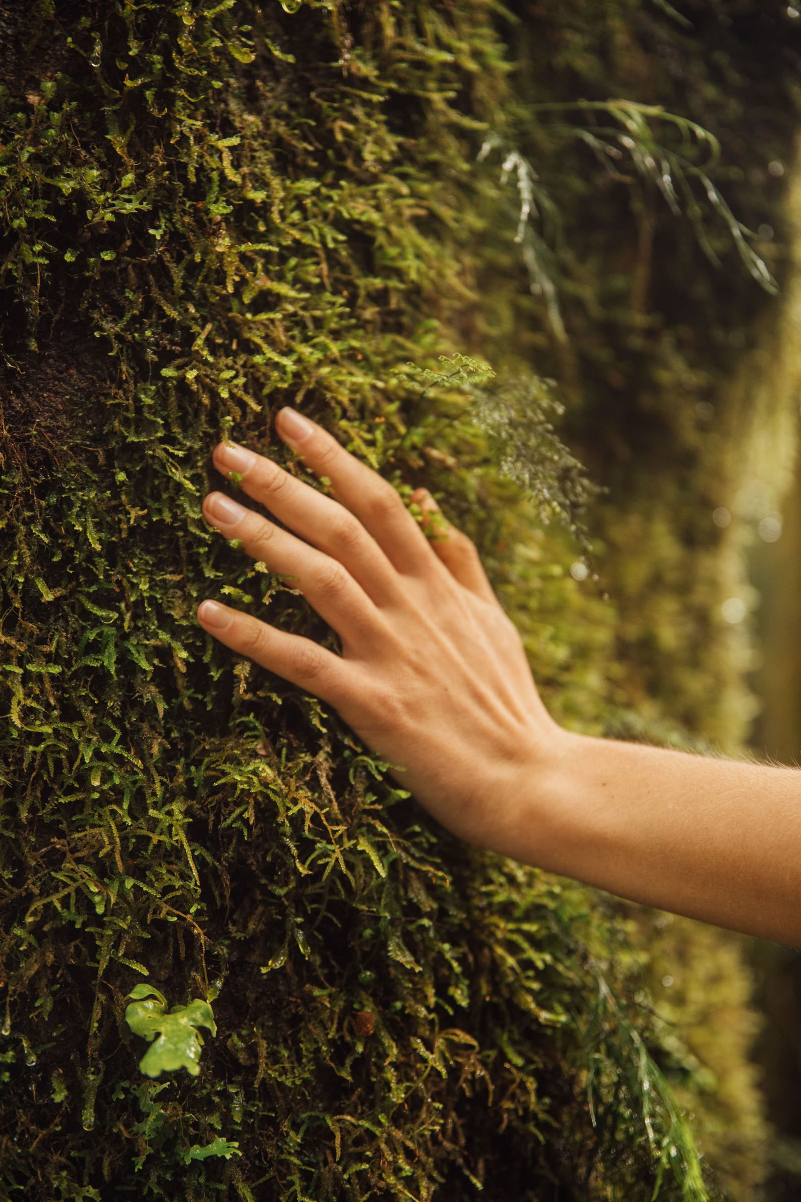 Återknyt kontakten med naturen
