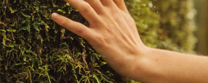 Återknyt kontakten med naturen