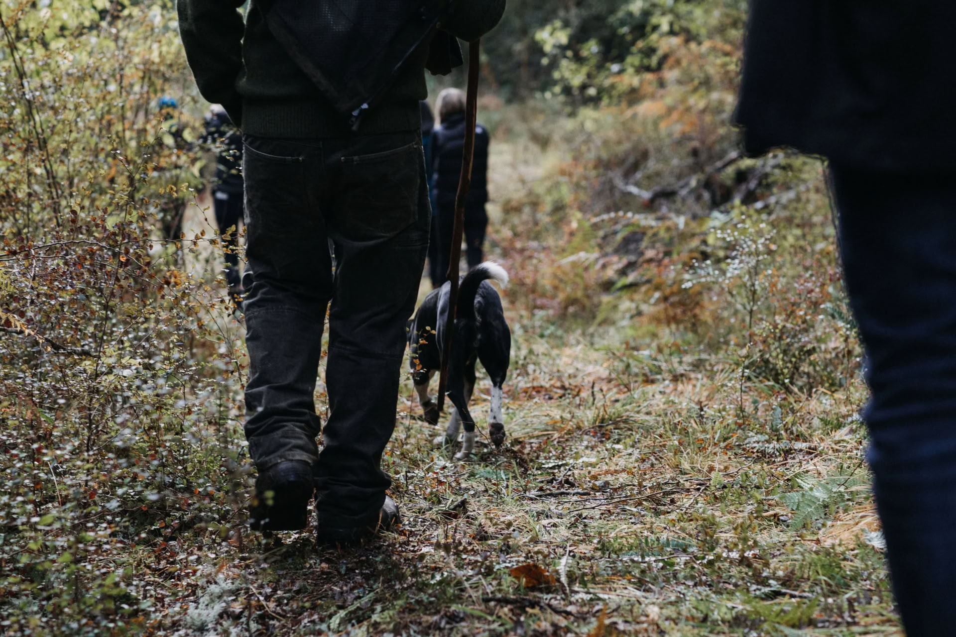 Personlig återhämtningsretreat