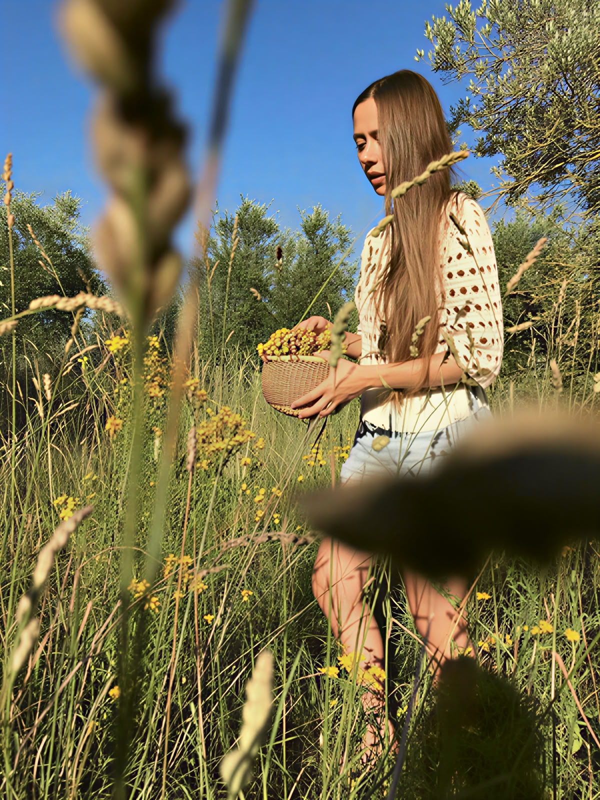5-dagars själfull yogaretreat i Toscana | Maraviglia — Maraviglia Farm Stay i Toscana