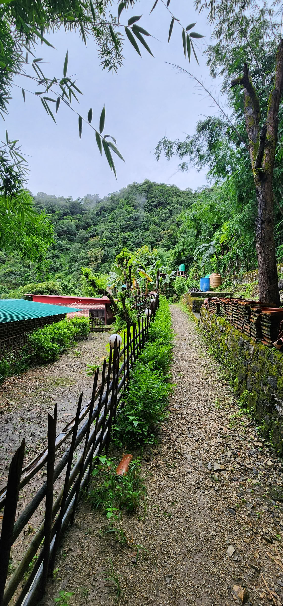 6-dagars surrender-retreat i Rishikesh