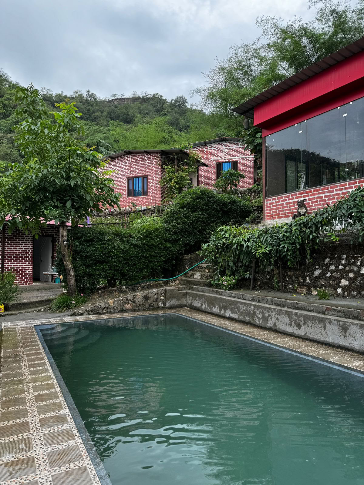 6-dagars surrender-retreat i Rishikesh