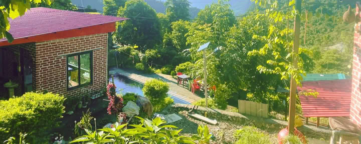 6-dagars surrender-retreat i Rishikesh