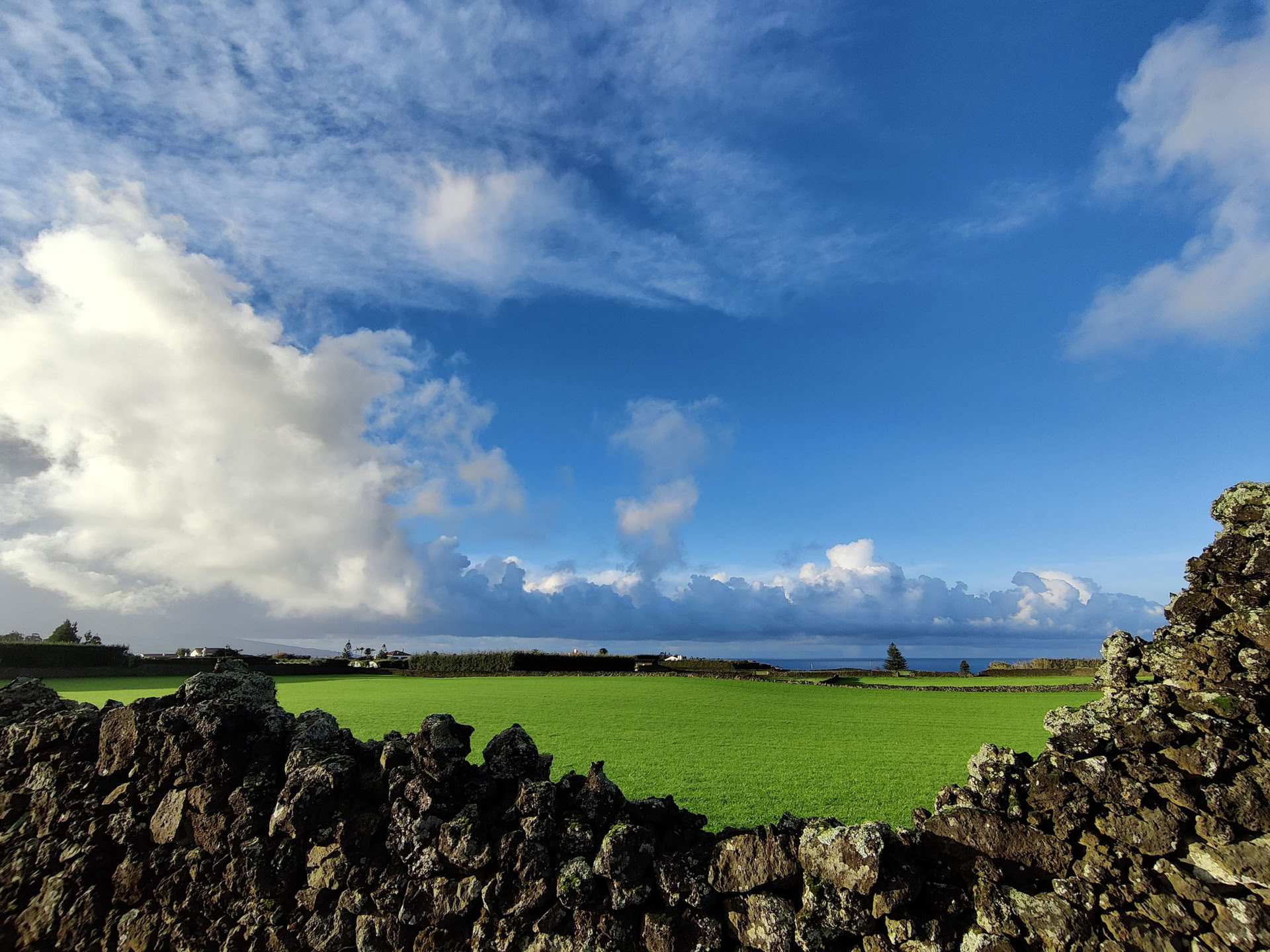 Fördjupa dig i MYMINUVIDA - MINUVIDA AZORES