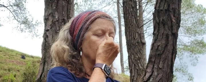 Återgå till det vilda och hitta rätt igen: endags miniretreat