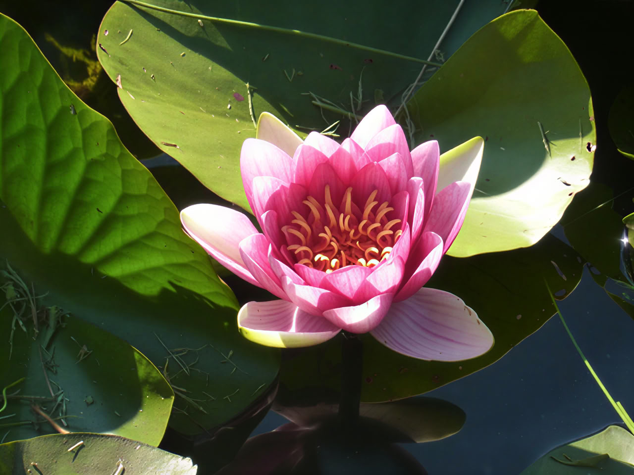 Yoga och mindfulness