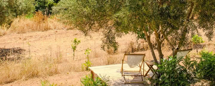 MaxWell-Being-retreat