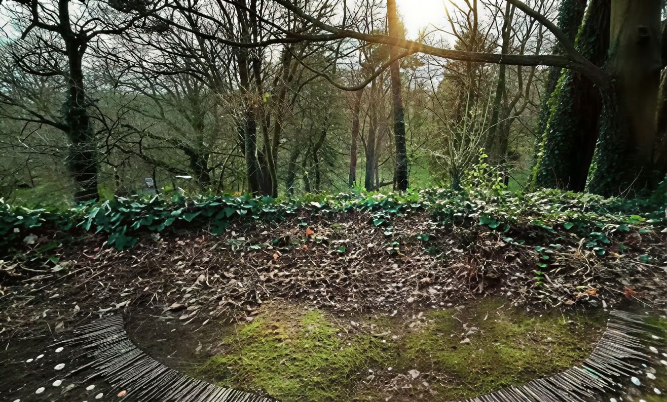 Medveten vibration — Mucklagh Lodge