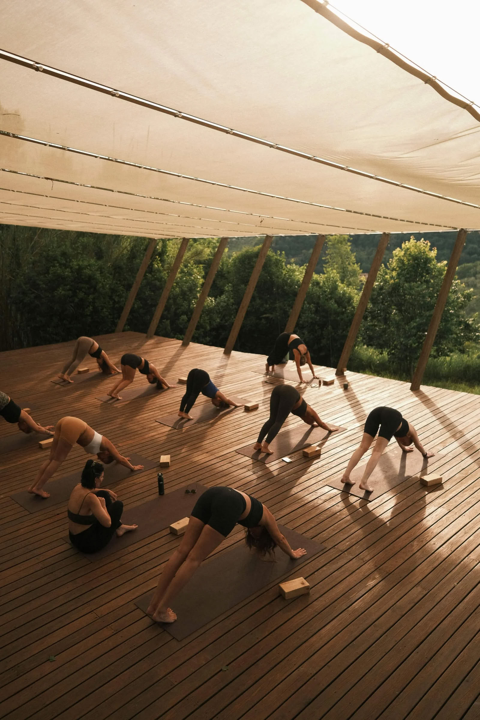 Inre lyster Vinyasa-yogaretreat