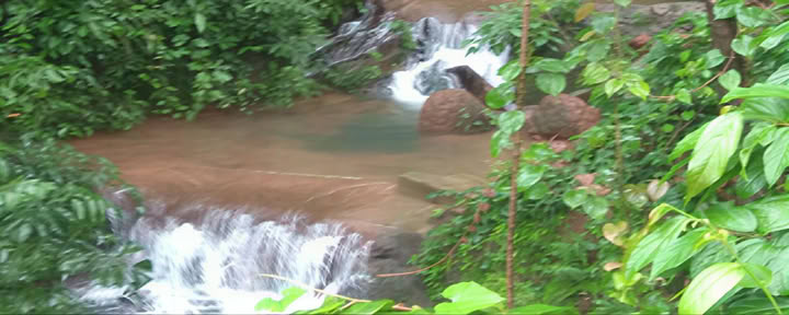 Kondenserad ayurvedakurs