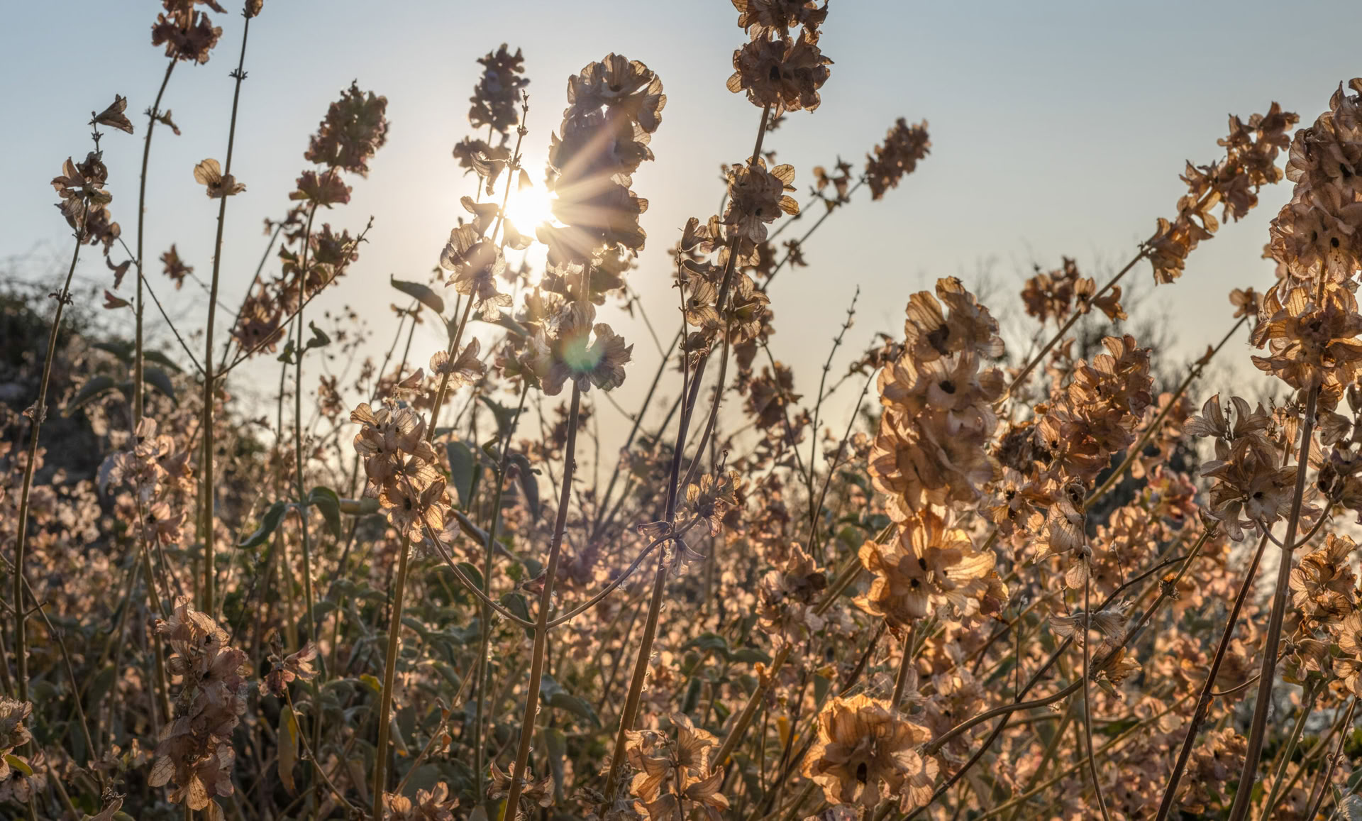 Intensiv vecka för självkännedom