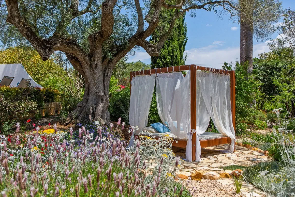 Yoga- och surfretreat för kvinnor בלבד
