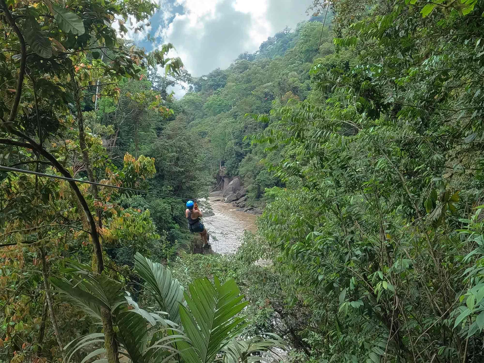 Zipline vid Pacuarefloden