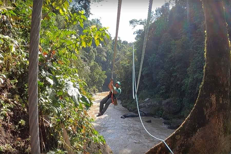 Zipline vid Pacuarefloden