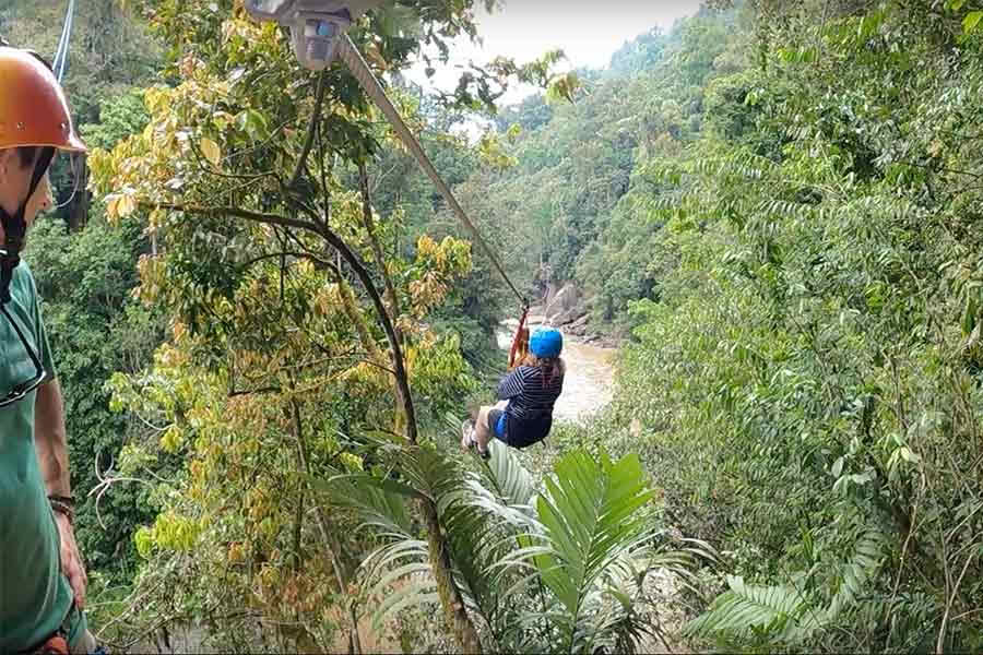 Zipline vid Pacuarefloden