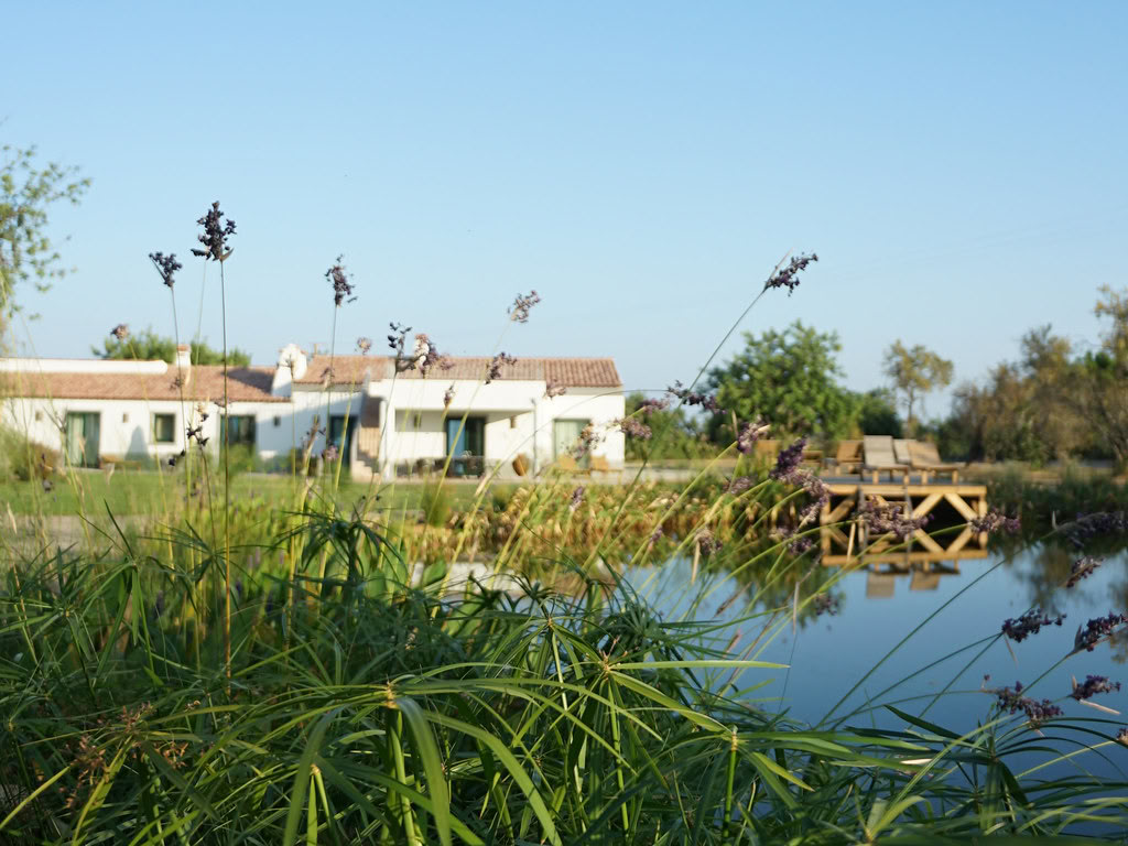 Att hitta ditt inre ljus på Algarve-retreaten