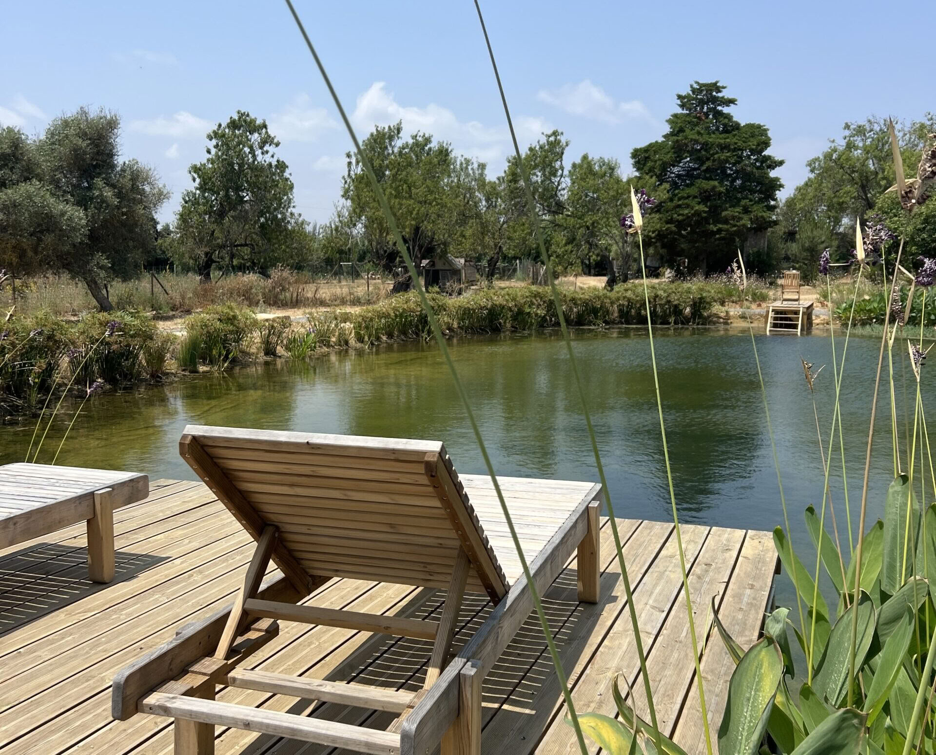 Att hitta ditt inre ljus på Algarve-retreaten