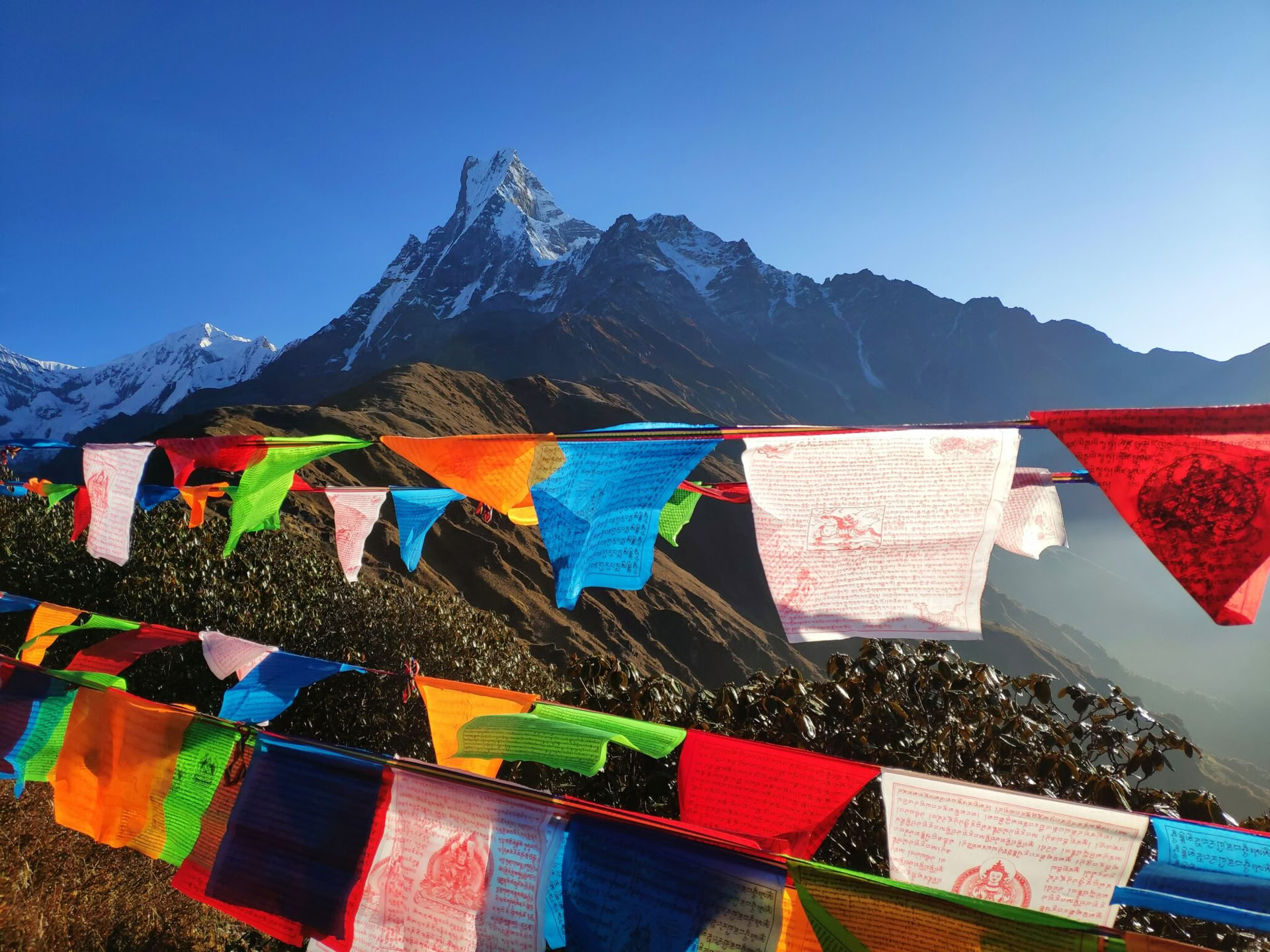 200-timmars yogalärarutbildning i Indien