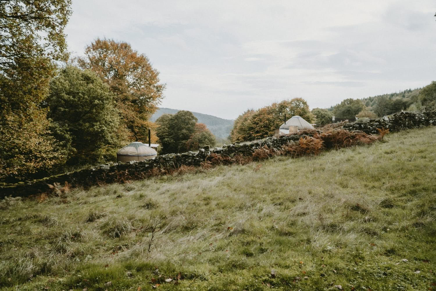 Höstyogaretreat för välmående