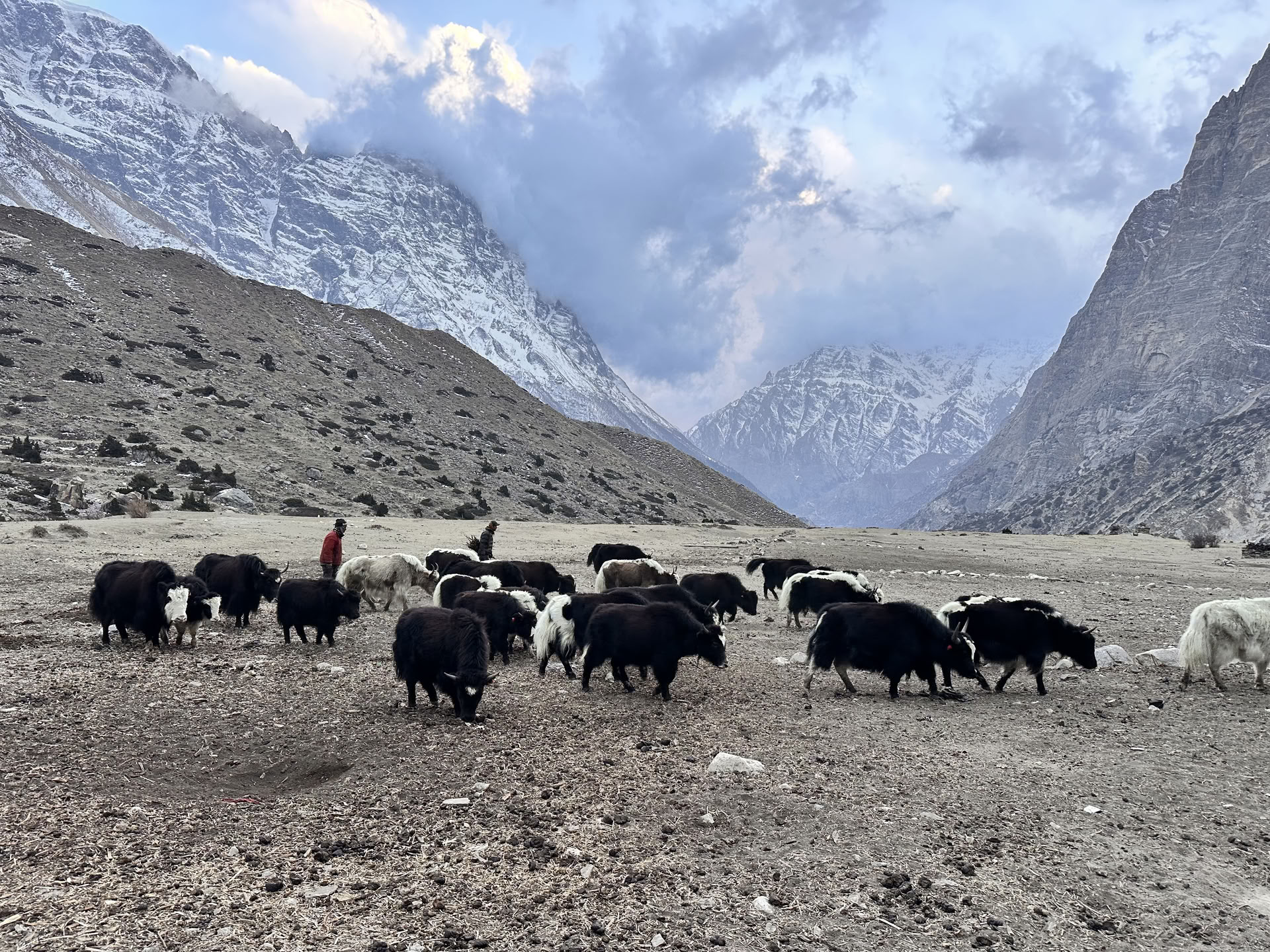 Yoga- och vandringstur på Annapurna Circuit med Tilicho-sjön